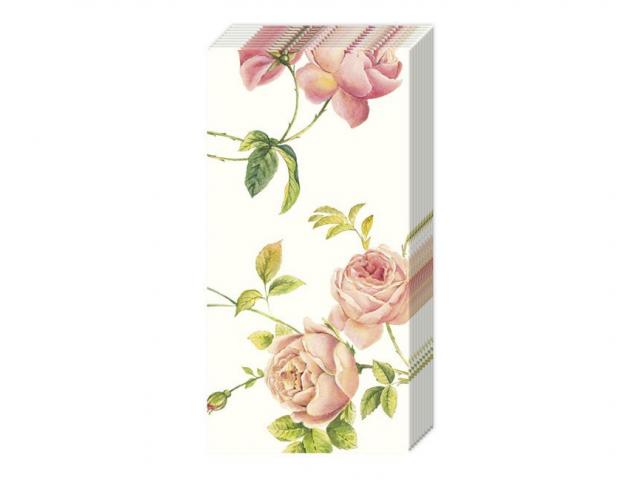 Taschentuch Ihr New Rambling Rose 10Stk. bedruckt