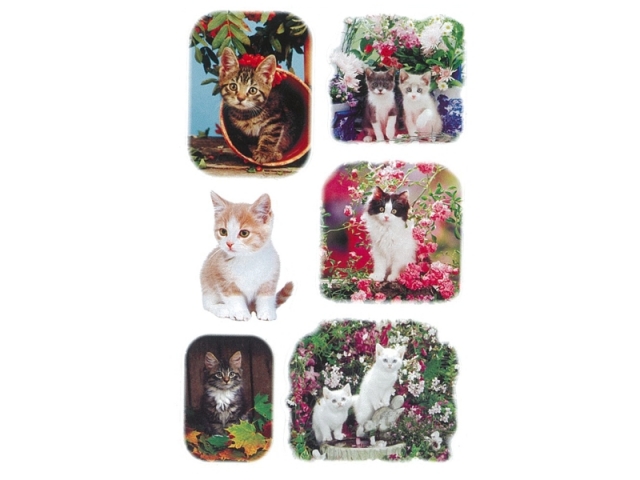 Aufkleber bsb Deco Sticker Katzenfotos, Blisterpackung