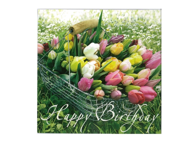 Postkarte Gollong Geburtstag Tulpen 14x14cm