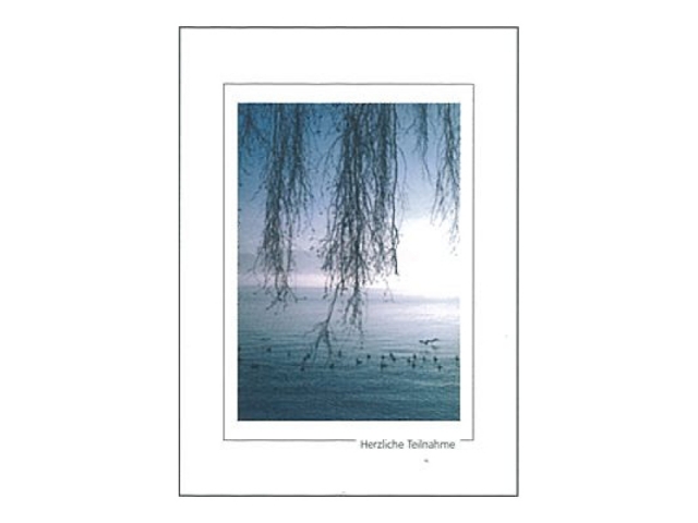 Trauerkarte Art Bula 13x18cm Trauerweide am See