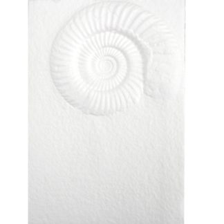 Karte Papierprägung 15x15cm, mit geprägtem Ammonit