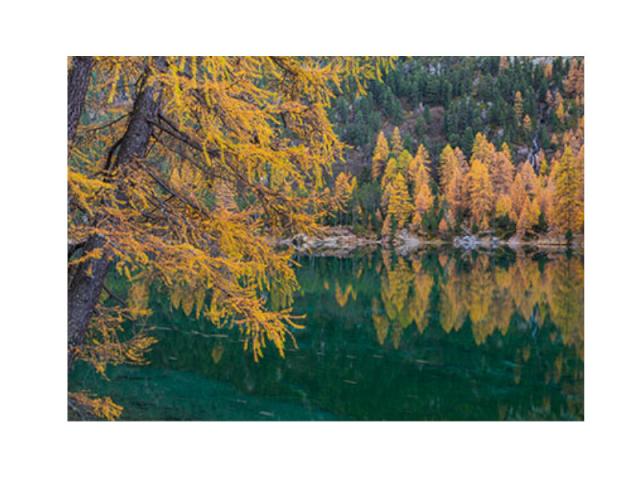 Karte Natur Verlag Lerchen am Bergsee im Herbst