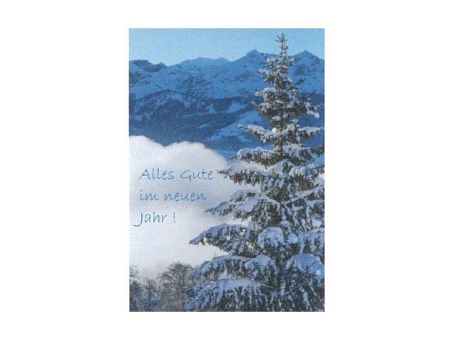 Weihnachtskarte Art Bula, Neujahrskarte Tanne schneebedeckt