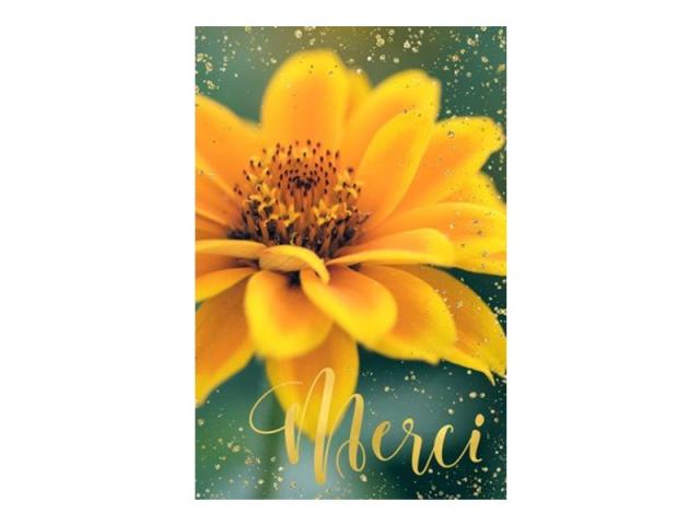 Dankeskarte Natur Verlag Merci 12,2x17,5cm
