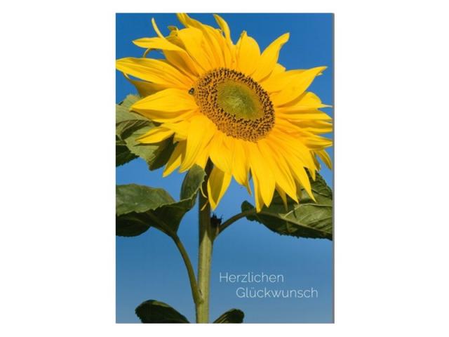 Glückwunschkarte Natur Verlag Sonnenblume 12,2x17,5cm