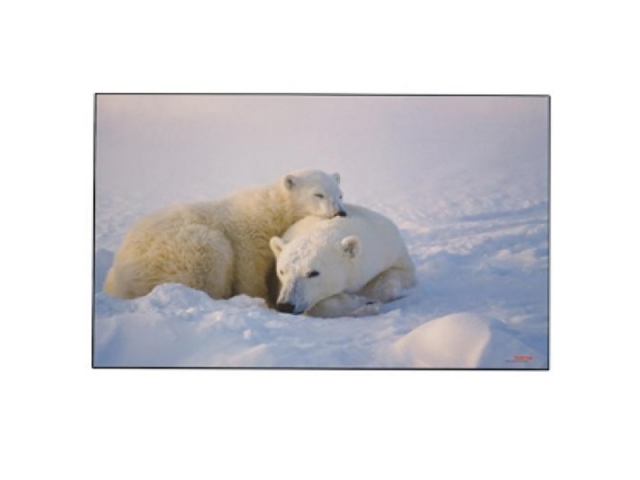 Schreibunterlage Kolma Poster 44x35cm Eisbären