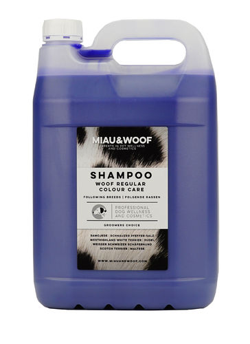 Shampoo Regular Colour Care, 4 Liter