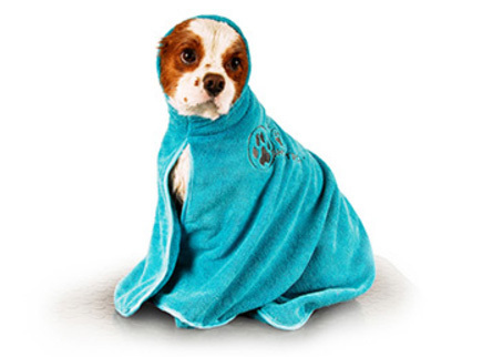 Serviette microfibre S, turquoise - Dry-Dude
