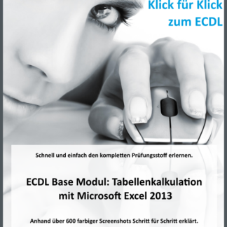 ECDL Base: Tabellenkalkulation mit Microsoft Excel 2013 (Produktform: A4 Ringbuch, farbig, Papier 120g, Plastikbinderücken, DE)